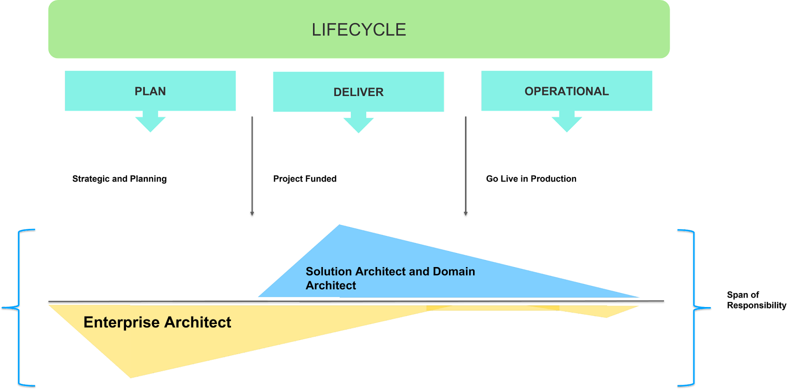 Life cycle diagram